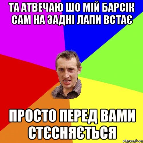 Та атвечаю шо мій Барсік сам на задні лапи встає Просто перед вами стєсняється, Мем Чоткий паца