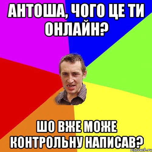 АНТОША, ЧОГО ЦЕ ТИ ОНЛАЙН? ШО ВЖЕ МОЖЕ КОНТРОЛЬНУ НАПИСАВ?, Мем Чоткий паца