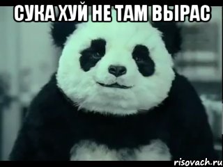 СУКА ХУЙ НЕ ТАМ ВЫРАС , Мем Не отказывай панде