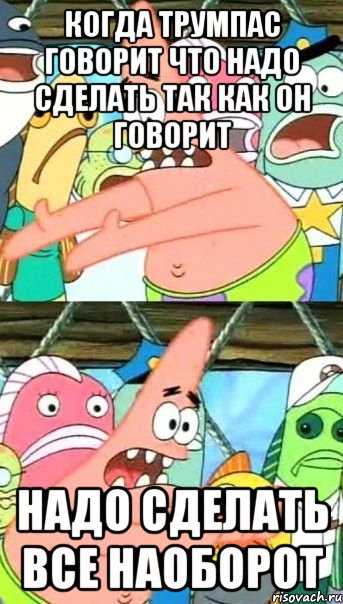 Когда Трумпас говорит что надо сделать так как он говорит Надо сделать все наоборот, Мем Патрик (берешь и делаешь)