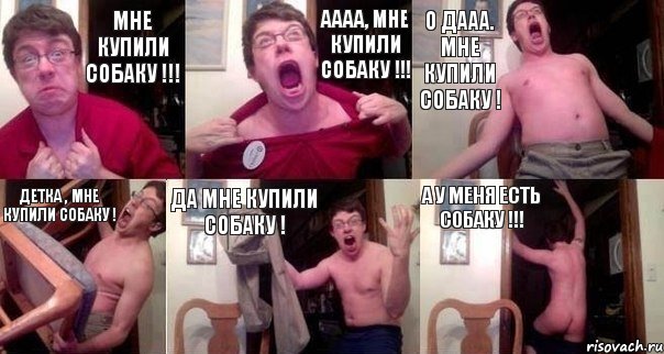Мне купили собаку !!! Аааа, мне купили собаку !!! О дааа. мне купили собаку ! Детка , мне купили собаку ! Да мне купили собаку ! А у меня есть собаку !!!, Комикс  Печалька 90лвл