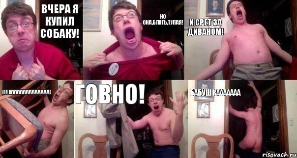 Вчера я купил собаку! НО ОНА,БЛЯТЬ,ТУПАЯ! И СРЕТ ЗА ДИВАНОМ! СУКААААААААААААА! ГОВНО! БАБУШКААААААА