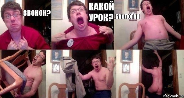 Звонок? Какой урок? Биология   
