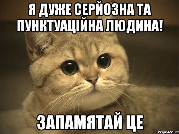 я дуже серйозна та пунктуаційна людина! запамятай це, Мем Пидрила ебаная котик