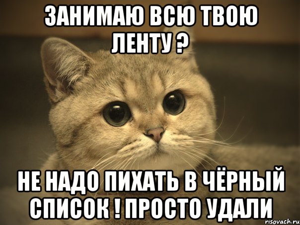 занимаю всю твою ленту ? не надо пихать в чёрный список ! просто удали, Мем Пидрила ебаная котик