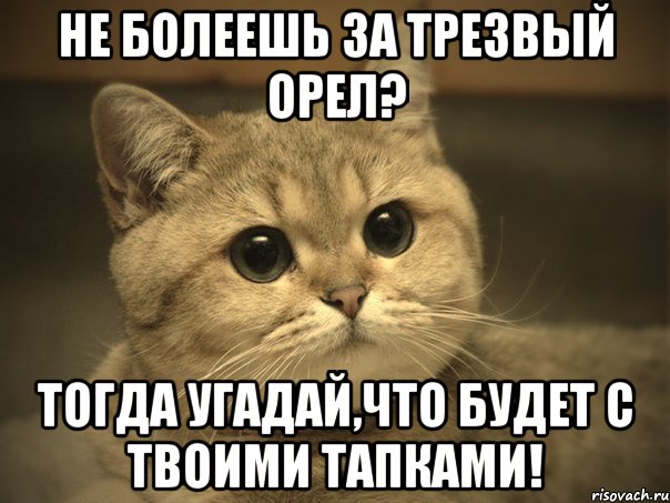 Не болеешь за Трезвый орел? Тогда угадай,что будет с твоими тапками!, Мем Пидрила ебаная котик