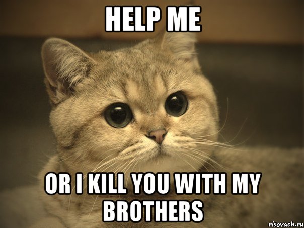 help me or i kill you with my brothers, Мем Пидрила ебаная котик