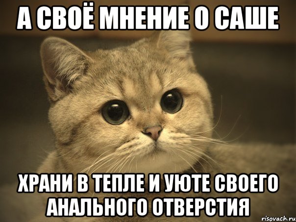 А СВОЁ МНЕНИЕ О САШЕ ХРАНИ В ТЕПЛЕ И УЮТЕ СВОЕГО АНАЛЬНОГО ОТВЕРСТИЯ, Мем Пидрила ебаная котик