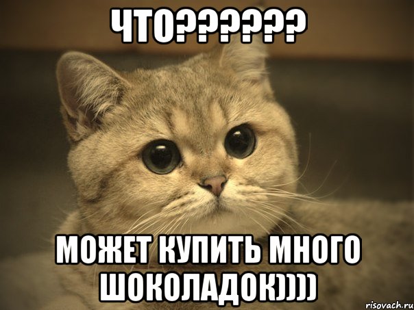 Что?????? Может купить много шоколадок)))), Мем Пидрила ебаная котик