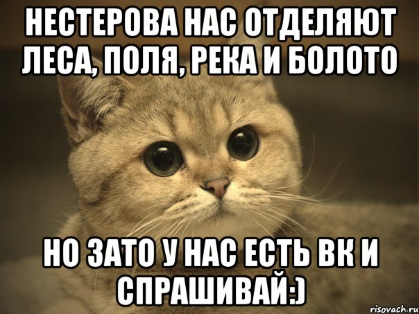 Нестерова нас отделяют леса, поля, река и болото но зато у нас есть вк и спрашивай:), Мем Пидрила ебаная котик