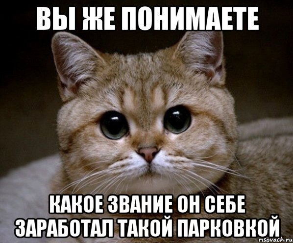 вы же понимаете какое звание он себе заработал такой парковкой, Мем Пидрила Ебаная