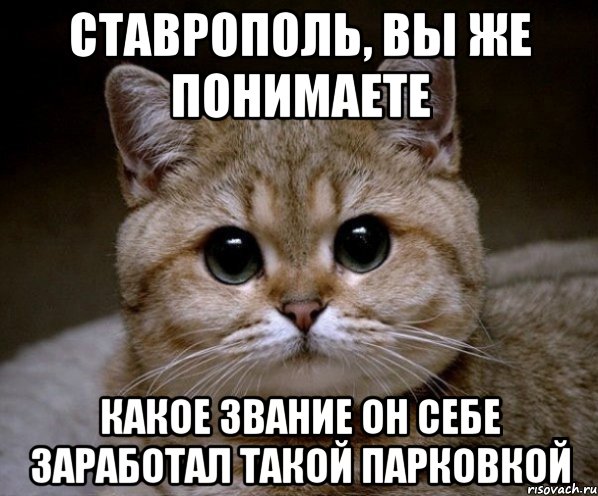 ставрополь, вы же понимаете какое звание он себе заработал такой парковкой, Мем Пидрила Ебаная