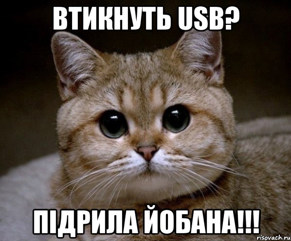 втикнуть usb? підрила йобана!!!, Мем Пидрила Ебаная