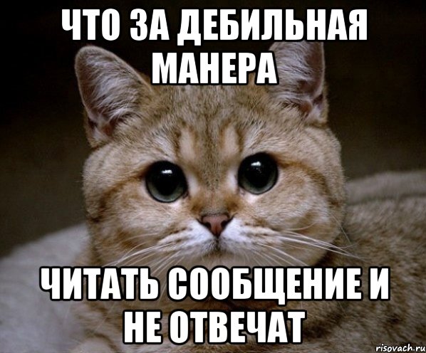 что за дебильная манера читать сообщение и не отвечат, Мем Пидрила Ебаная