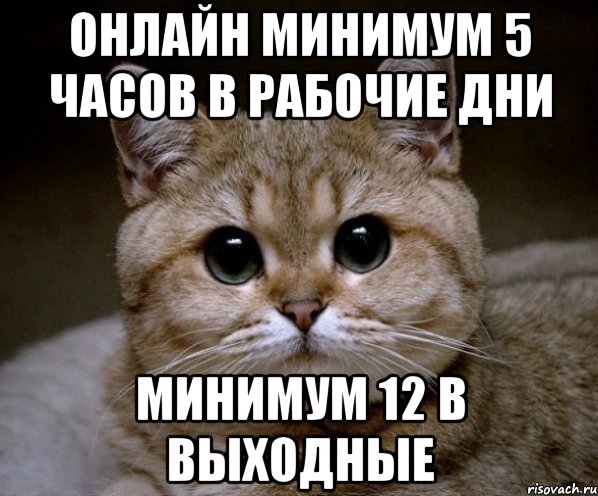 онлайн минимум 5 часов в рабочие дни минимум 12 в выходные, Мем Пидрила Ебаная