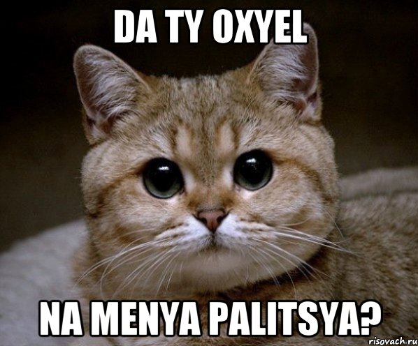 da ty oxyel na menya palitsya?, Мем Пидрила Ебаная