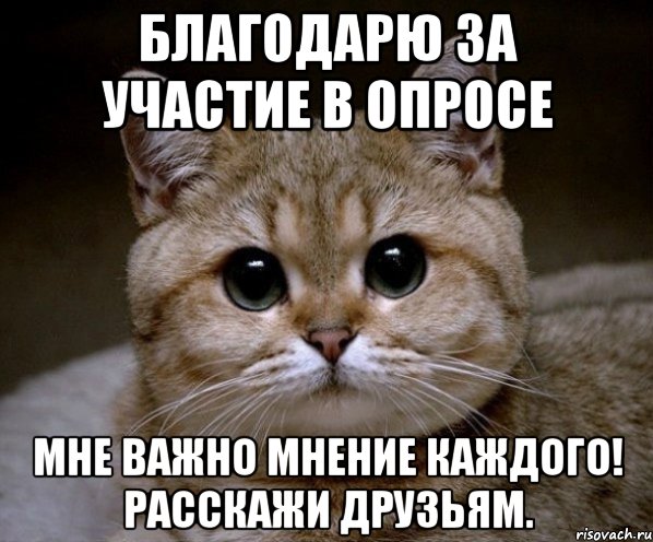 благодарю за участие в опросе мне важно мнение каждого! расскажи друзьям., Мем Пидрила Ебаная