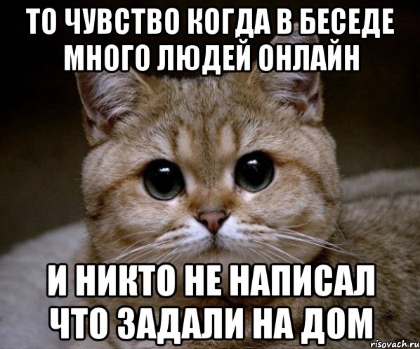 то чувство когда в беседе много людей онлайн и никто не написал что задали на дом, Мем Пидрила Ебаная