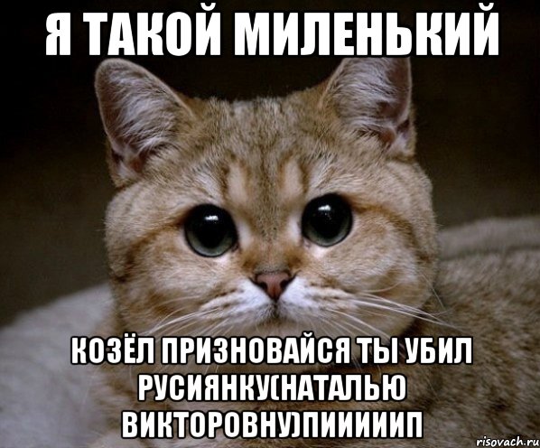 Я такой миленький КОЗЁЛ ПРИЗНОВАЙСЯ ТЫ УБИЛ РУСИЯНКУ(НАТАЛЬЮ ВИКТОРОВНУ)ПИИИИИП, Мем Пидрила Ебаная