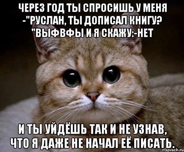 Через год ты спросишь у меня -"Руслан, ты дописал книгу? "выфвфы И я скажу:-Нет И ты уйдёшь так и не узнав, что я даже не начал её писать., Мем Пидрила Ебаная