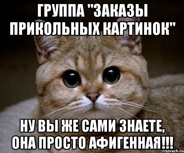 Группа "заказы прикольных картинок" ну вы же сами знаете, она просто АФИГЕННАЯ!!!, Мем Пидрила Ебаная