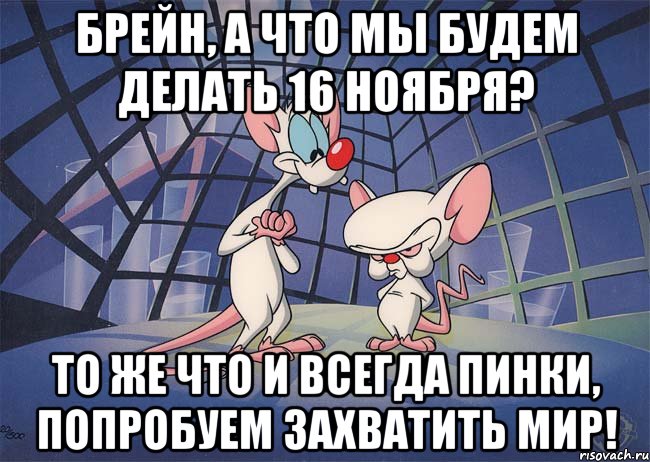 брейн, а что мы будем делать 16 ноября? то же что и всегда пинки, попробуем захватить мир!, Мем ПИНКИ И БРЕЙН