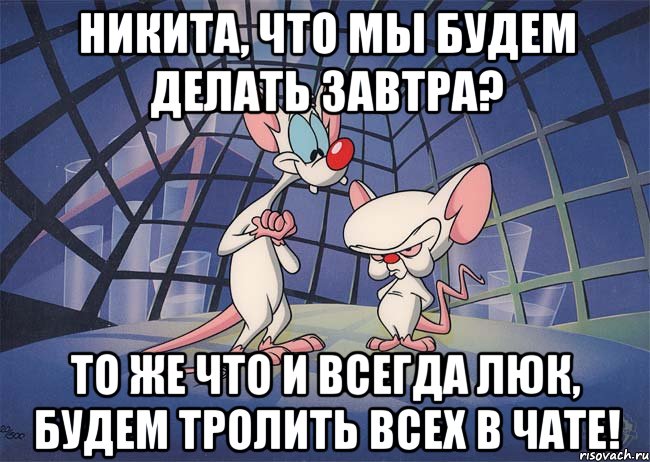 никита, что мы будем делать завтра? то же что и всегда люк, будем тролить всех в чате!, Мем ПИНКИ И БРЕЙН