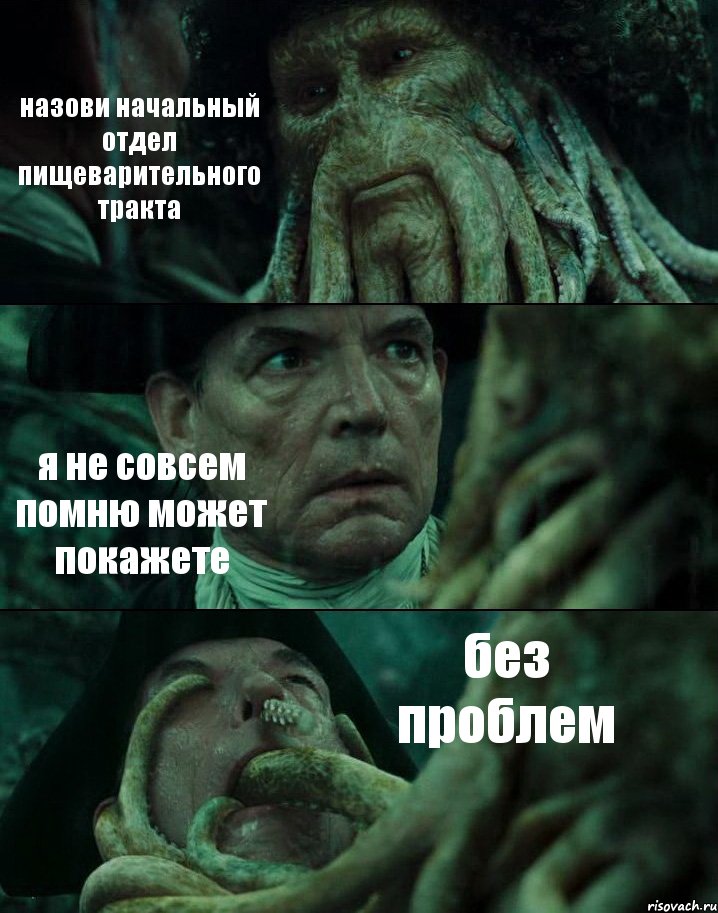 назови начальный отдел пищеварительного тракта я не совсем помню может покажете без проблем, Комикс Пираты Карибского моря