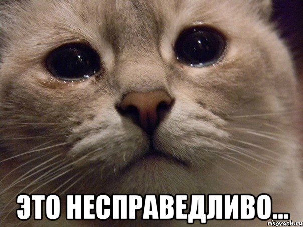 http://risovach.ru/upload/2013/11/mem/plachucshiy-kot_35578507_orig_.jpeg