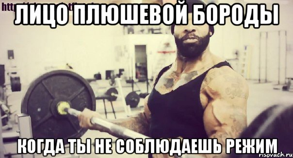 лицо плюшевой бороды когда ты не соблюдаешь режим