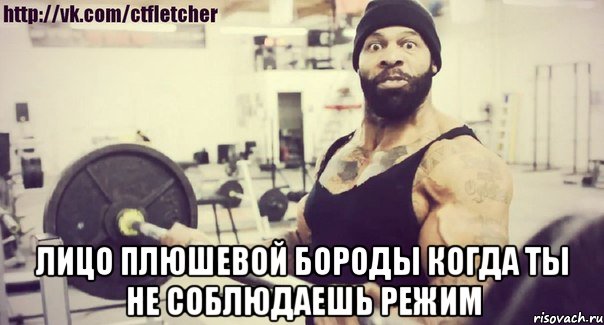  лицо плюшевой бороды когда ты не соблюдаешь режим