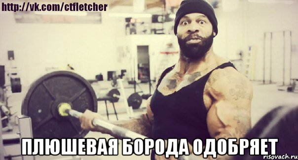  плюшевая борода одобряет