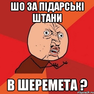 шо за підарські штани в шеремета ?, Мем Почему