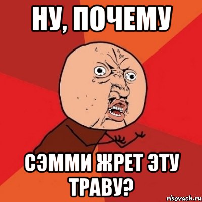 ну, почему сэмми жрет эту траву?, Мем Почему