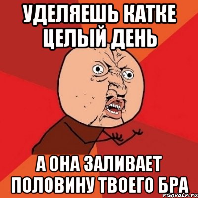 уделяешь катке целый день а она заливает половину твоего БРа, Мем Почему