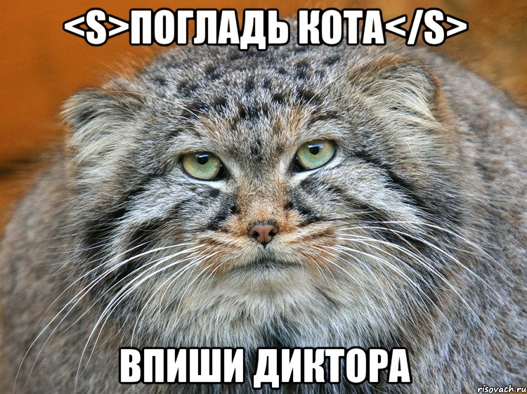 <s>погладь кота</s> впиши диктора