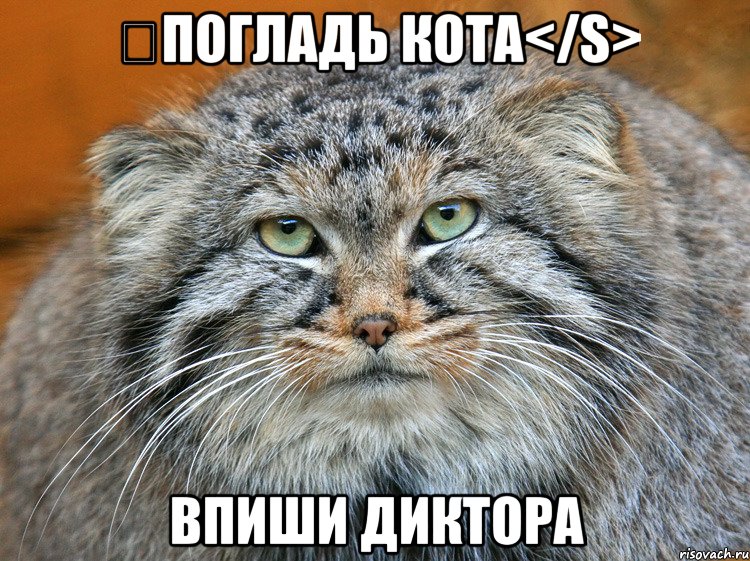 &#822;погладь кота</s> впиши диктора