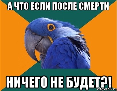 А что если после смерти ничего не будет?!, Мем Попугай параноик