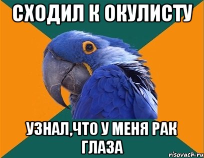 Сходил к окулисту Узнал,что у меня РАК ГЛАЗА, Мем Попугай параноик