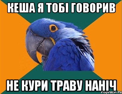 Кеша я тобі говорив не кури траву наніч, Мем Попугай параноик