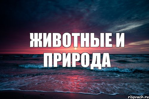 животные и природа, Комикс Природа
