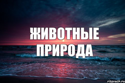 Животные природа, Комикс Природа