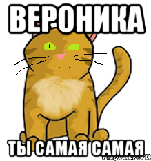 Вероника ты самая самая, Мем просто котэ