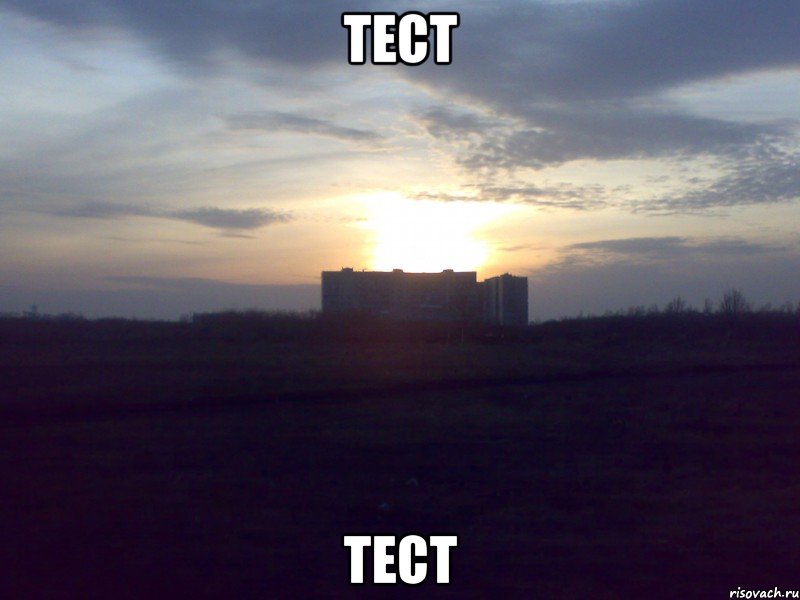 тест тест