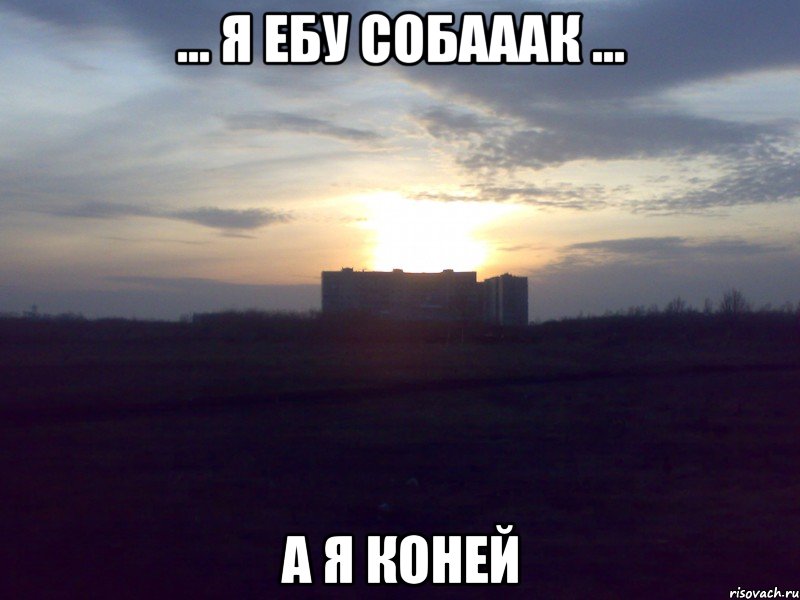 ... я ебу собааак ... а я коней