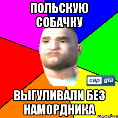 польскую собачку выгуливали без намордника