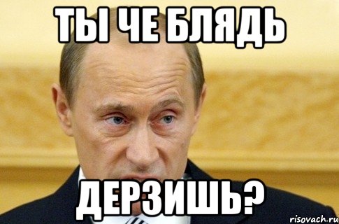 ты че блядь дерзишь?, Мем путин