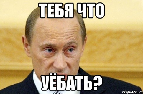 тебя что уёбать?, Мем путин