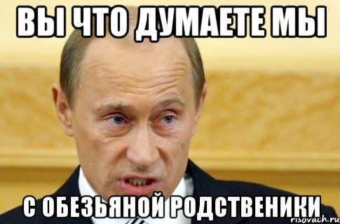 вы что думаете мы с обезьяной родственики, Мем путин