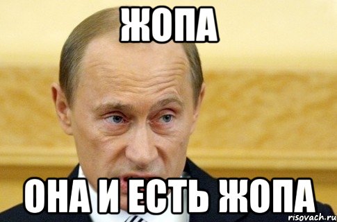 жопа она и есть жопа, Мем путин